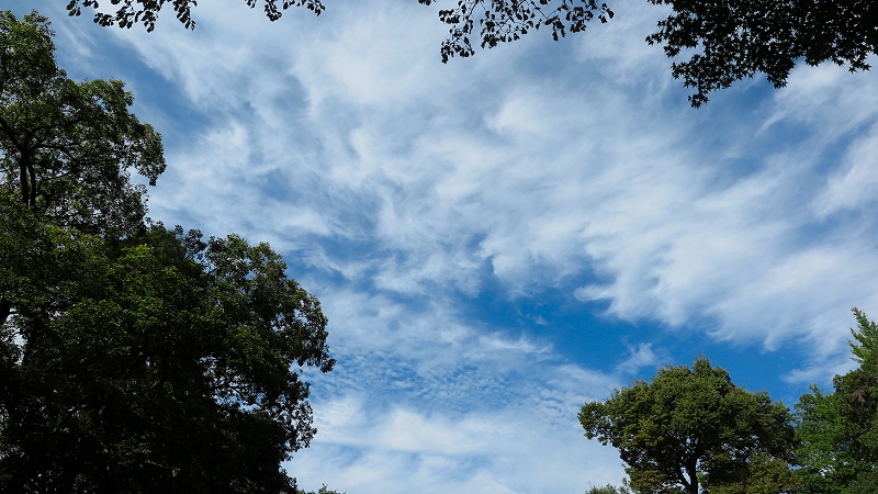 6 空